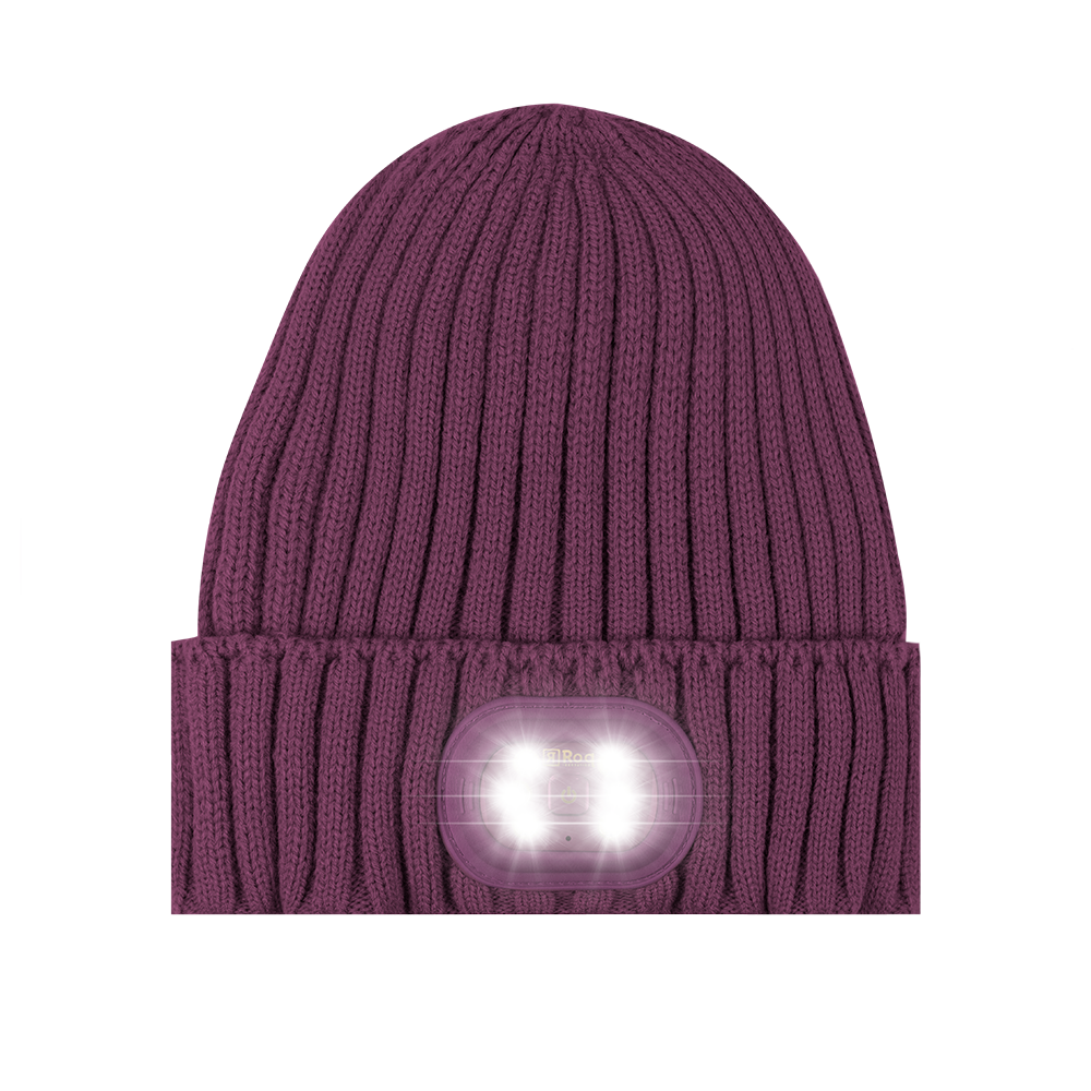 New Monochromatic Adult Beanie - Purple