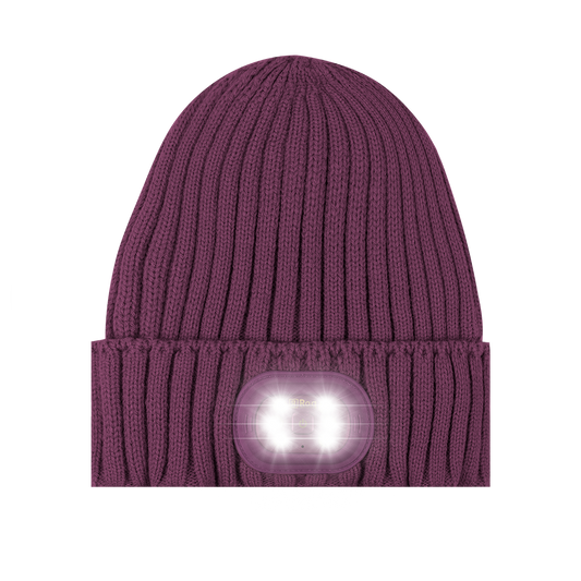 New Monochromatic Adult Beanie - Purple