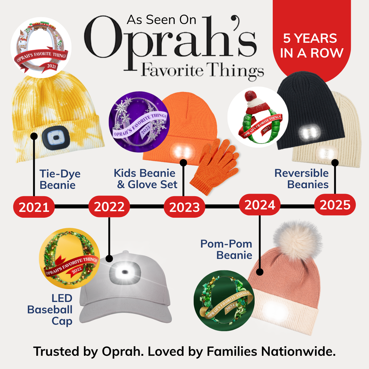 Reversible Knit LED Beanie - Wine